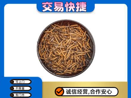 贵阳市花溪回收散虫草